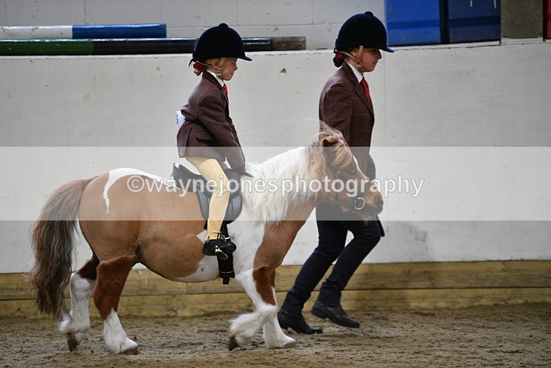 WJ5_6539 - Class 10 Childs Pony