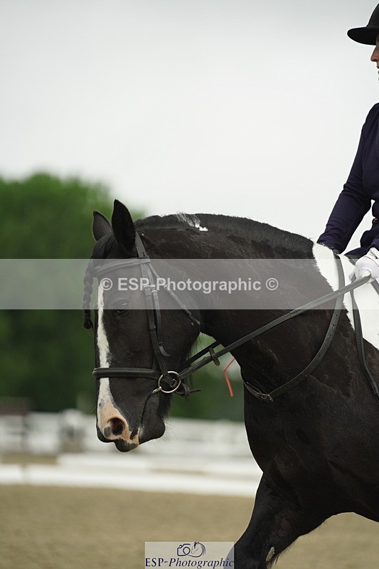 230708A-100128-00273 - Intro C