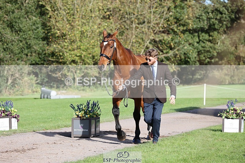 241027-101806-15799 - 555-Kane.Phillips-GURRAUN.CATCH.UP