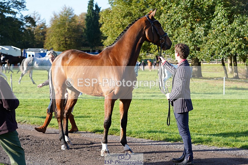 241026-100430-11583 - 013-Cameron.Beer-GREENLANES.LE.BAMBALOU