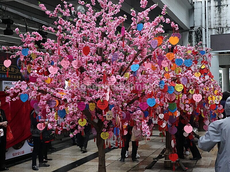 CHINA__0407 - China 2019