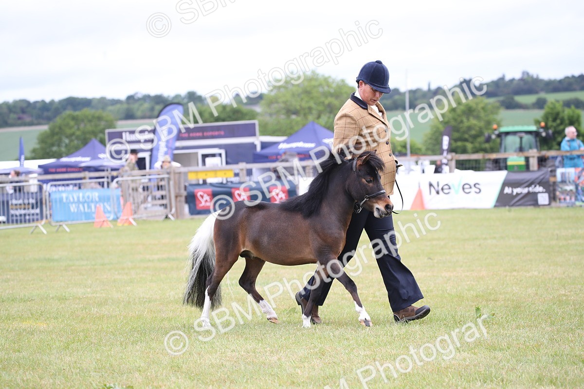 SBM_03791 - Class 23-25 - British Miniature Horse of the Year