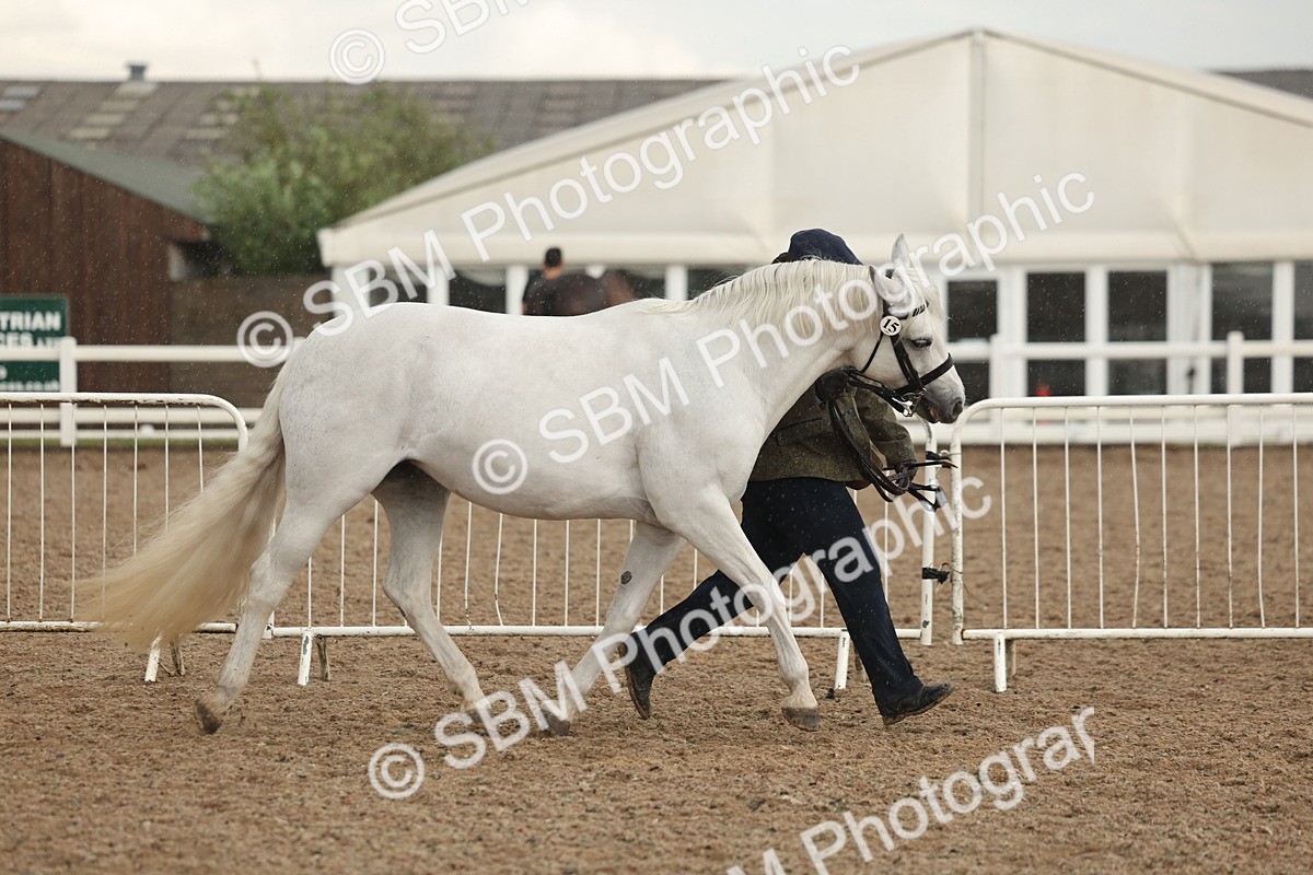 SBM_07732 - Class 27 - IH Competition Horse/Pony