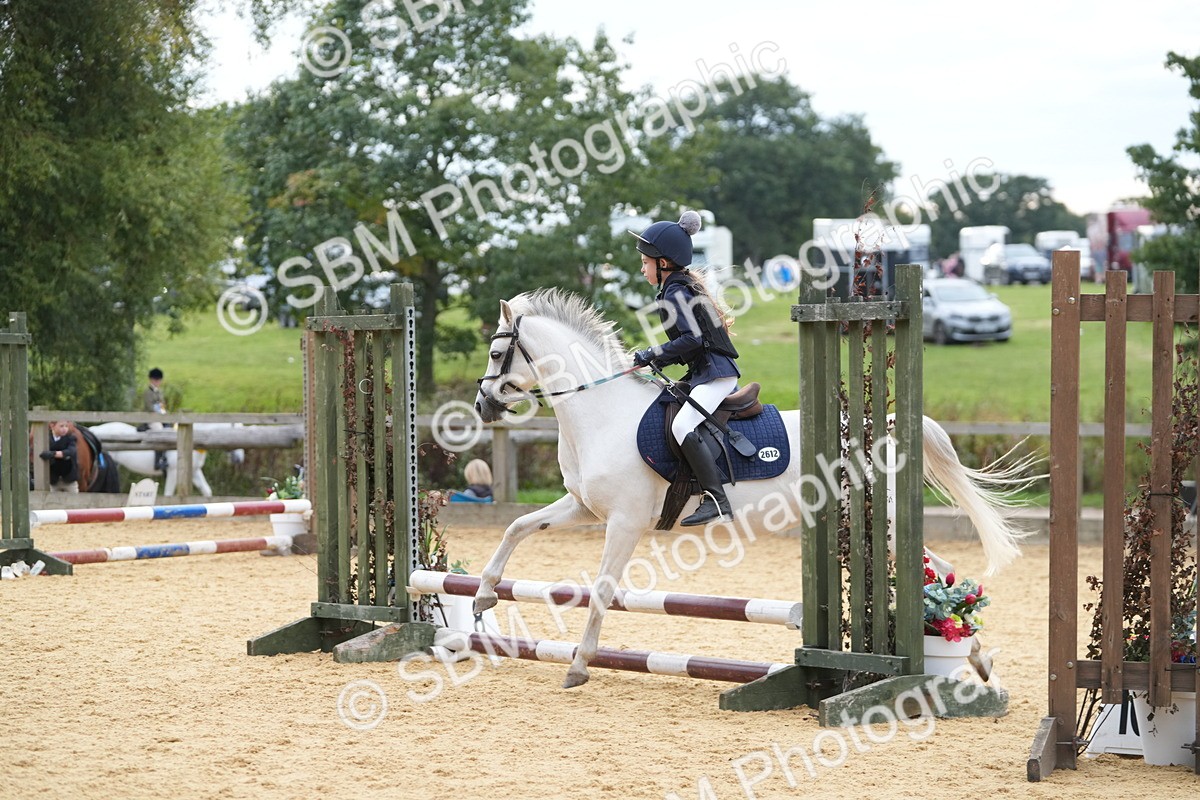 SBM_74791 - J4 - Mini Tour Junior Pony 45cm Championship