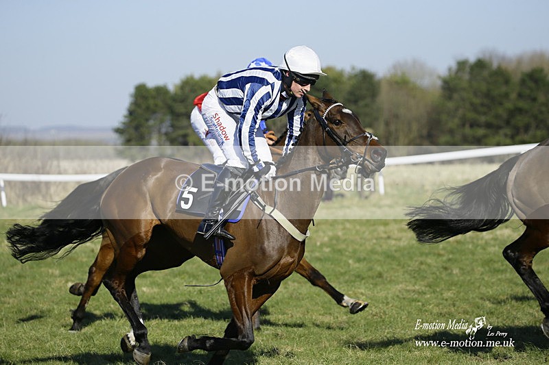 PtP 270222 63 - South & West Wilts Point-to-Point Larkhill 27/02/22