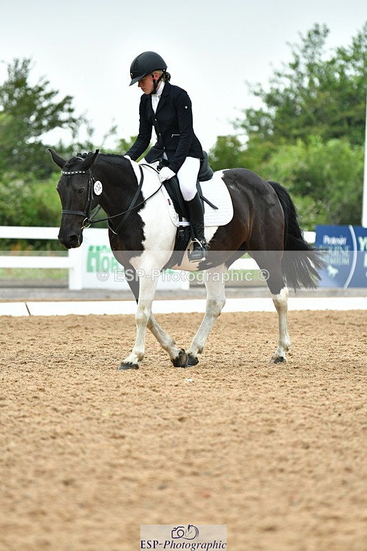 230708A-120234-02696 - Prelim 13