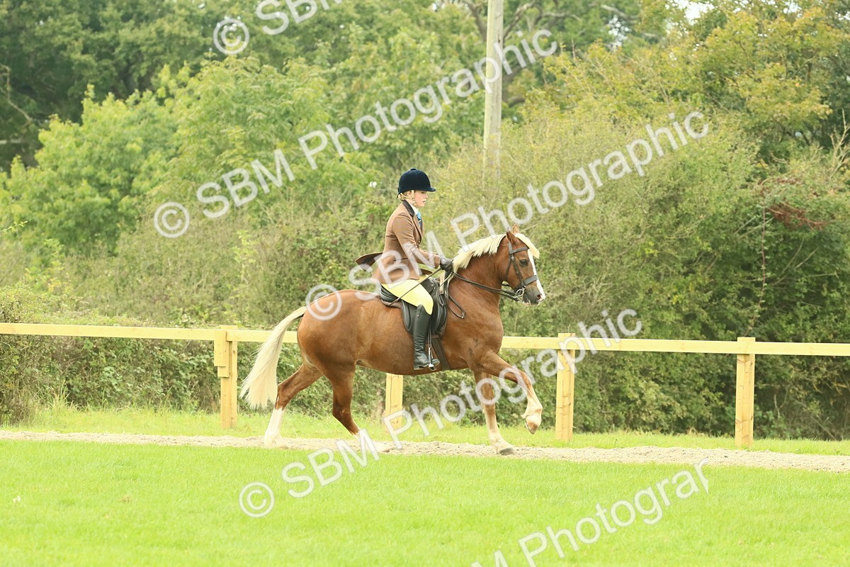 SBM_71886 - S60 - Mountain & Moorland Ridden Large Breeds