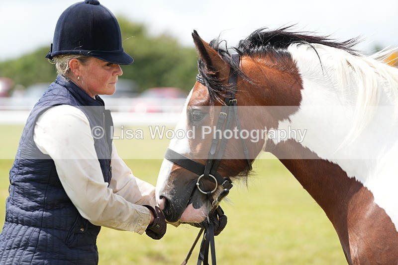 DSC06747 - Class 58: Coloured Pony Youngstock