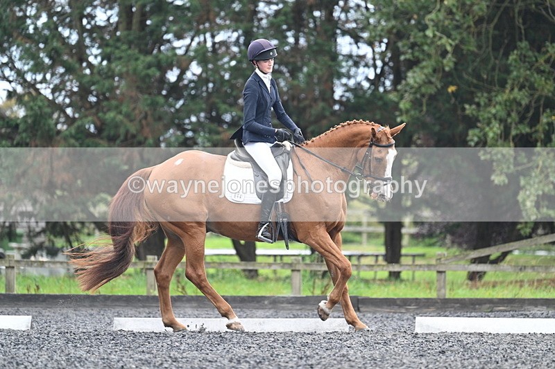 WJ7_6708 - Time 14:49 to 15:14