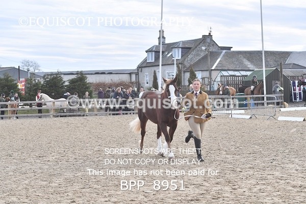 BPP_8951 - RING 2 - M&M