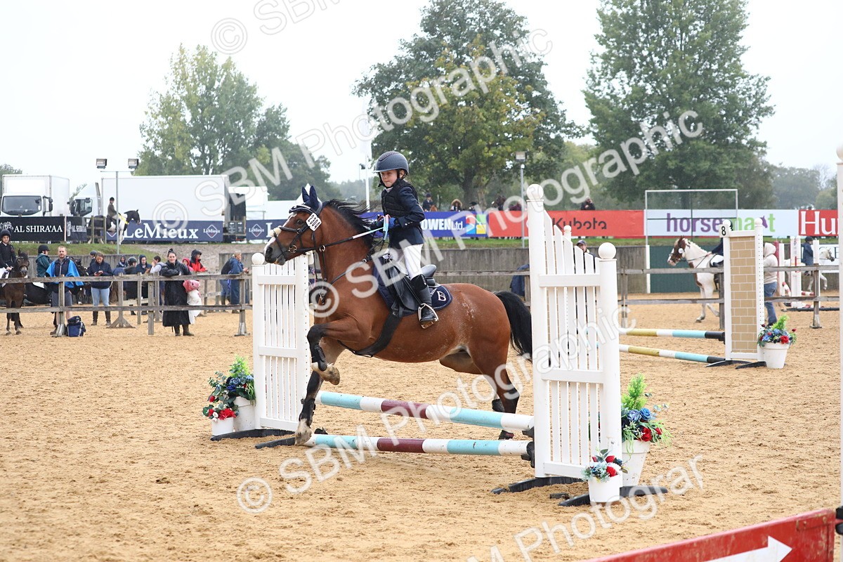 SBM_71634 - J4 - Mini Tour Junior Pony 45cm Championship