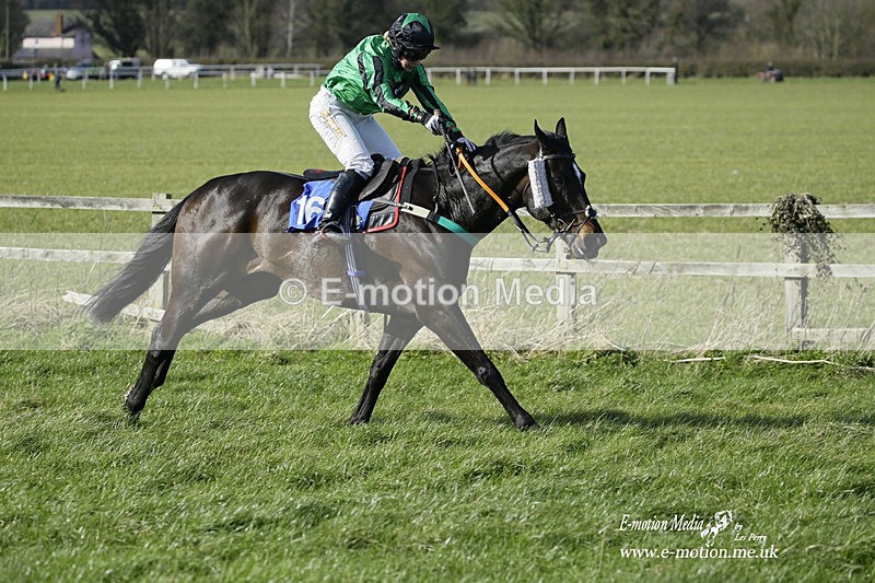 PtP 260222 391 - Kingston Blount Racing Club Point-to-Point 26/02/22