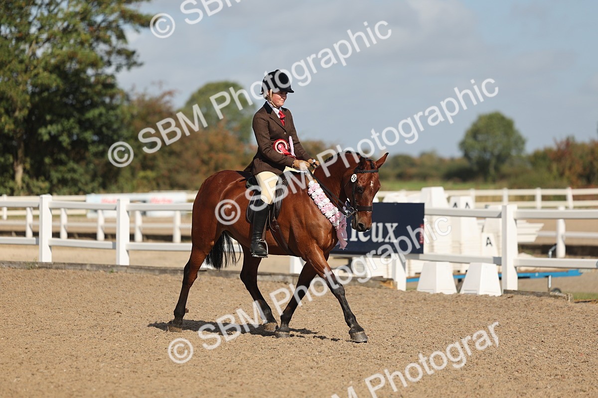 SBM_22645 - Class 804 - Ridden Veteran Pony