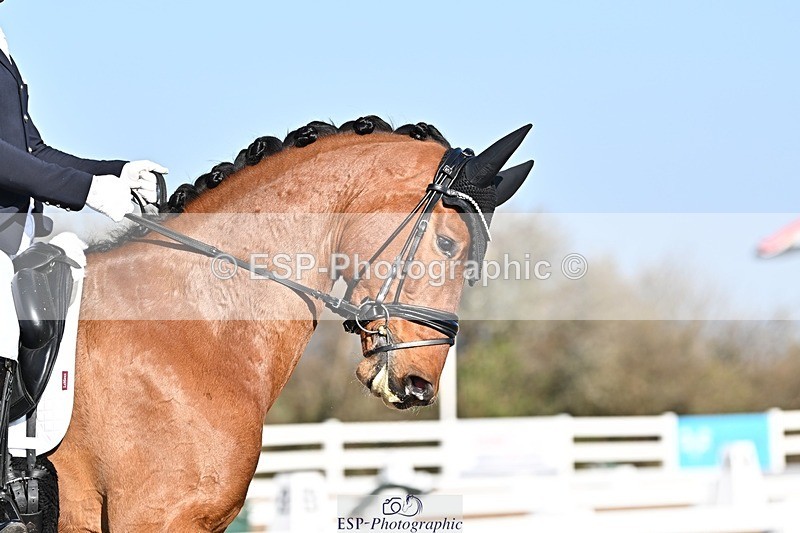 250405-094249-09147 - 178-Jezz.Palmer-Preimer