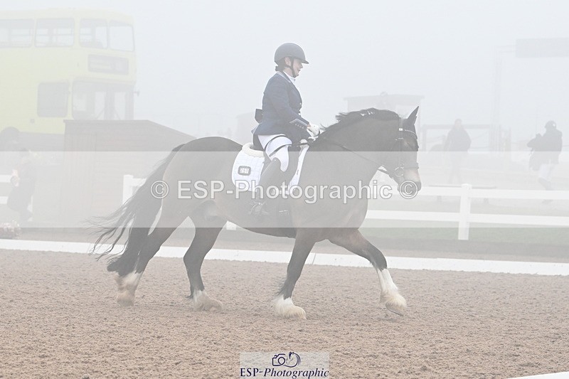 240217A-125705-02721 - 251-Alison.Crimp-Crwys.Beau