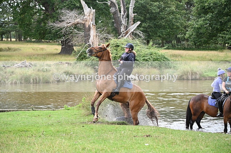 WJ7_0752 - Time at Water 09:19 to 10:04