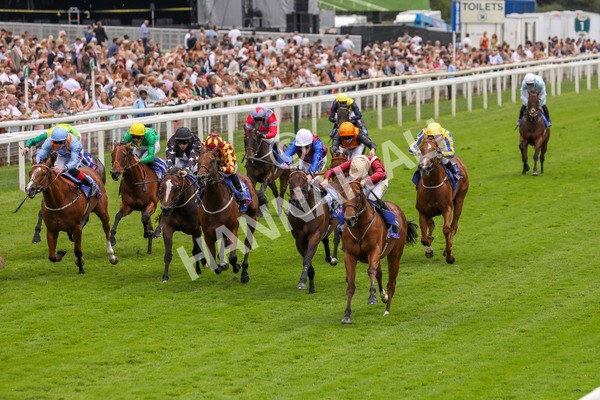 270724-Race 2-Rage Of Bamby-4642 - Race 2 2.40pm Sky Bet Dash Handicap