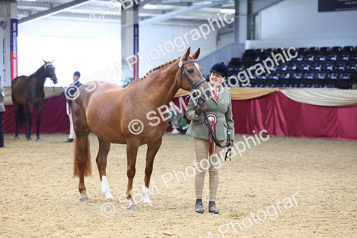 SBM_22999 - Class 903 - Supreme Final - IH Pre Vet