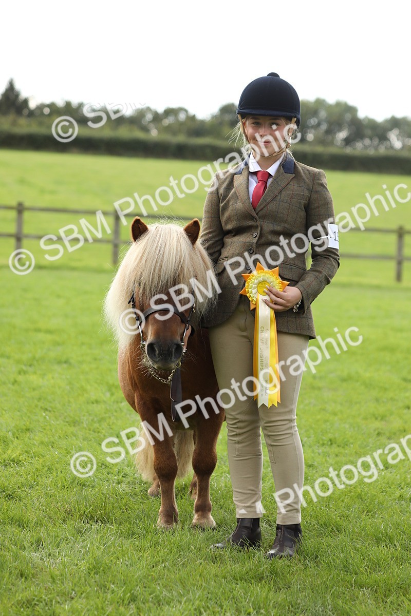 SBM_62873 - S46 - Mountain & Moorland In Hand Small Breeds