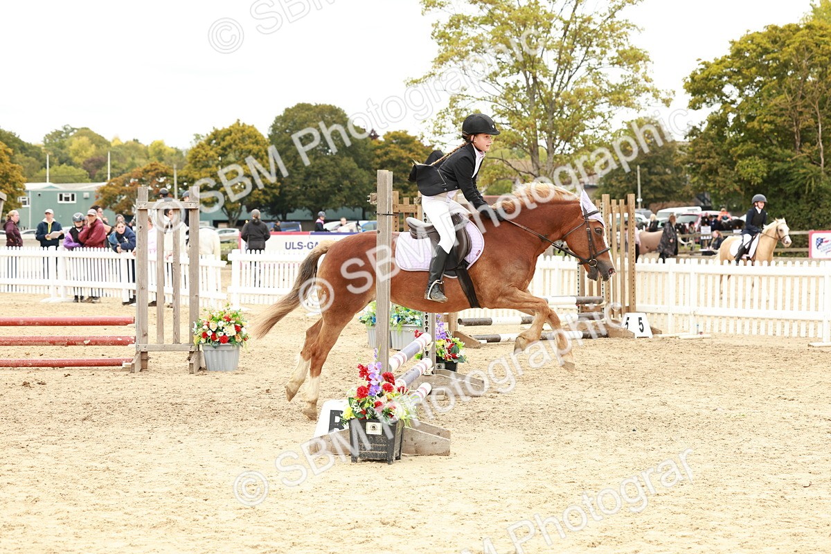 SBM_63784 - J12 - Junior Pony 55cm Championship