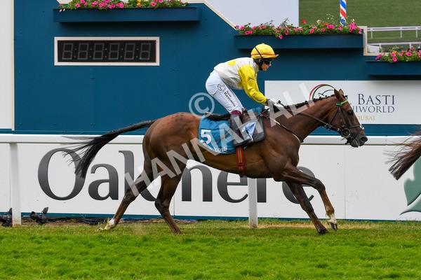 170623-Race 1-Kihavah-0227 - Race 1 2.00pm Queen Mother's Cup Handicap