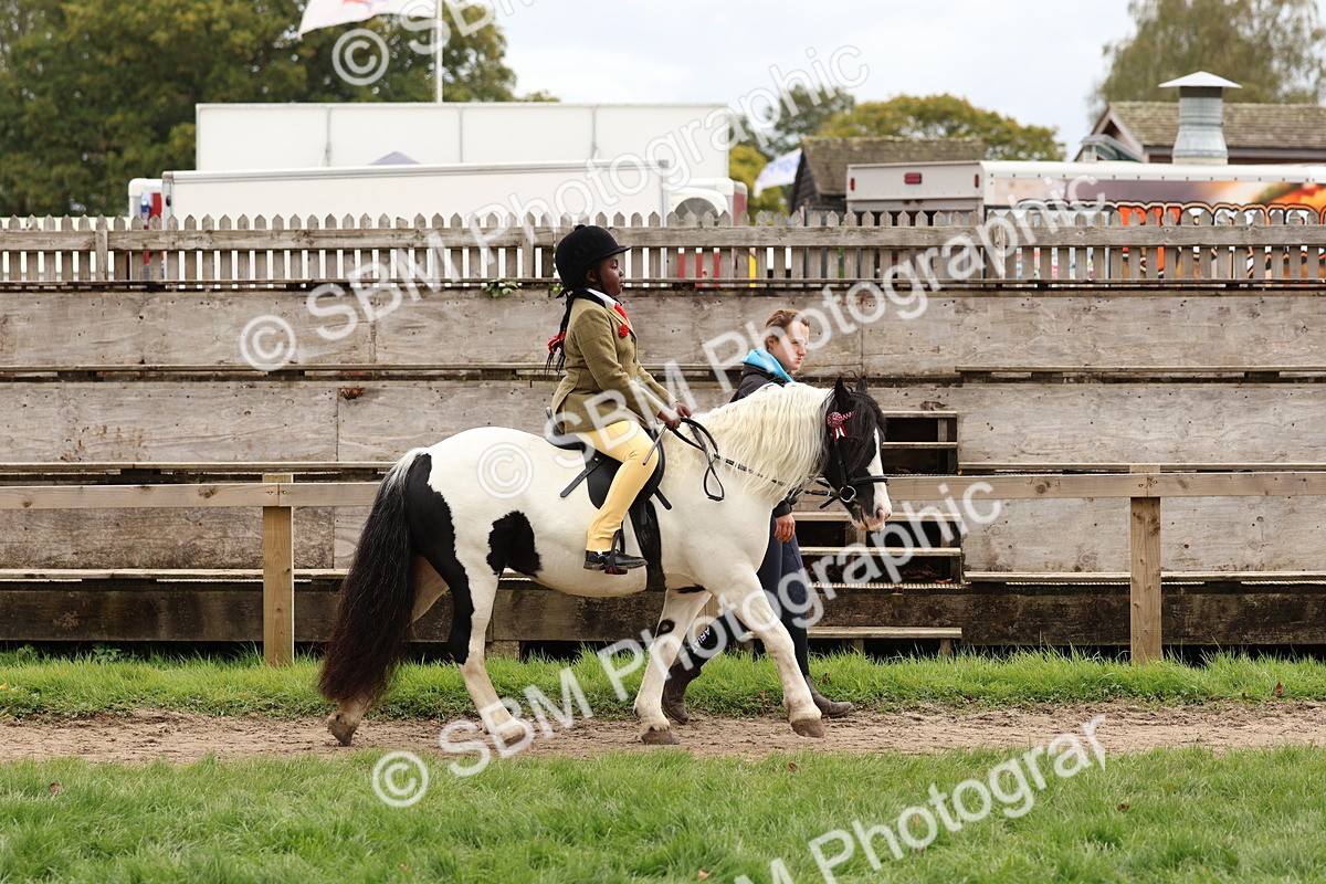 SBM_64369 - S58 - Coloured Pony Ridden