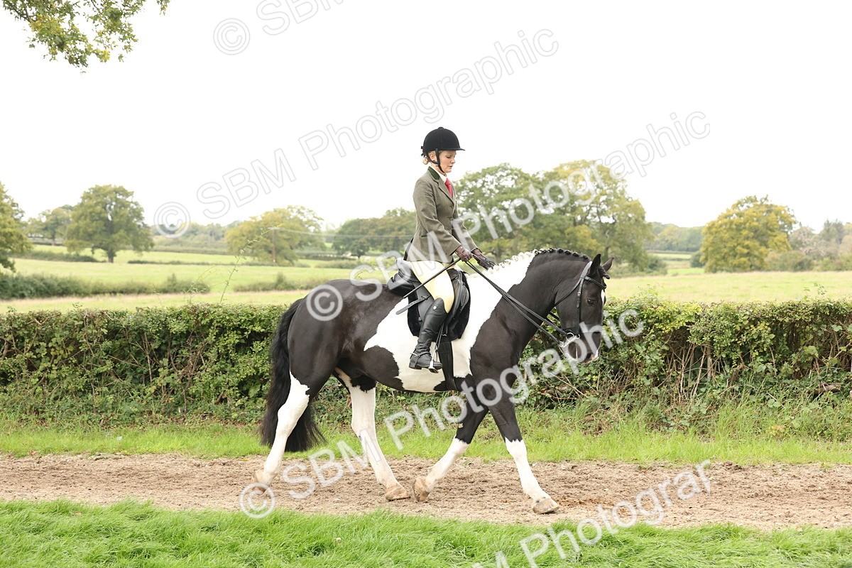 SBM_67218 - S67 - Piebald & Skewbald Horse Ridden