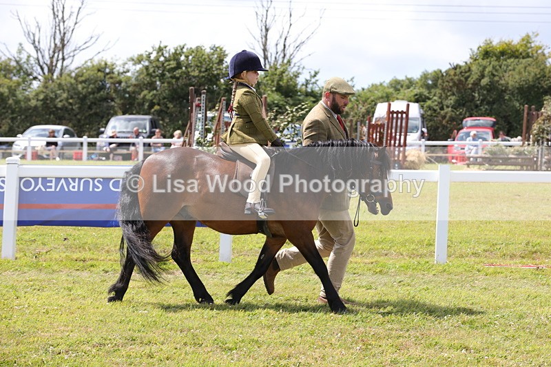 1X9A5081 - Class 36: NPS M&M Lead Rein