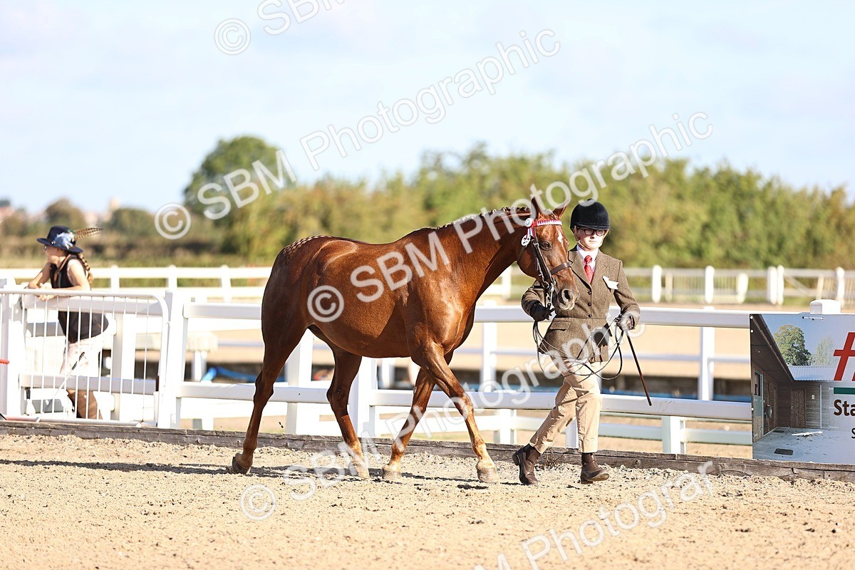 SBM_08440 - Class 402 - IH Veteran Pony