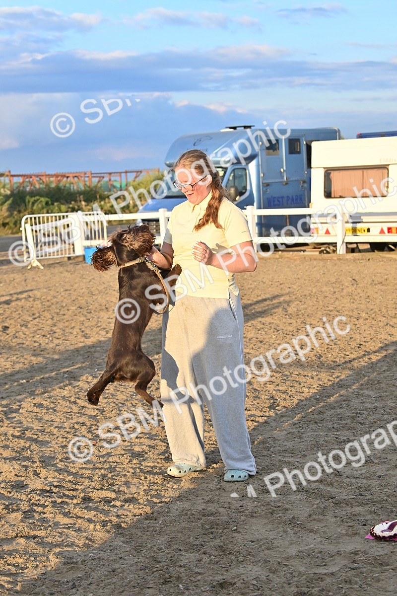 SBM_09705 - Lorry Dogs