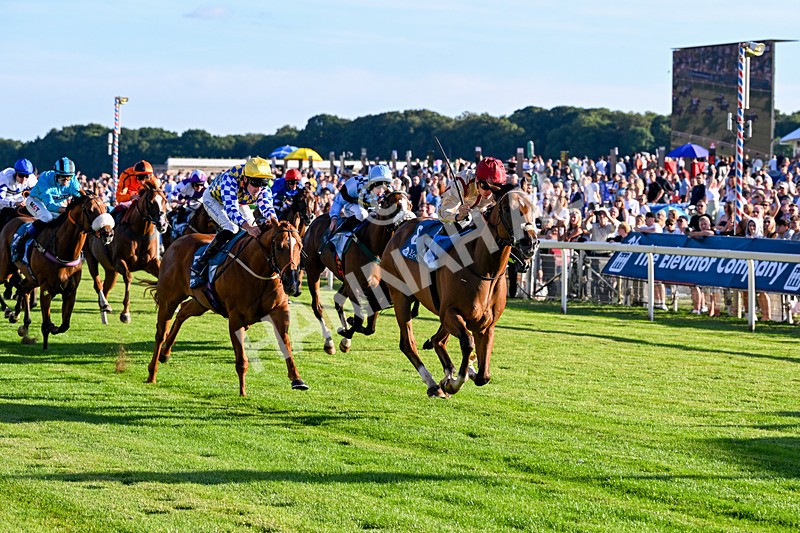 240726-Race 4-Rajaking-5344 - Race 4 19.15pm Tomahawk Handicap