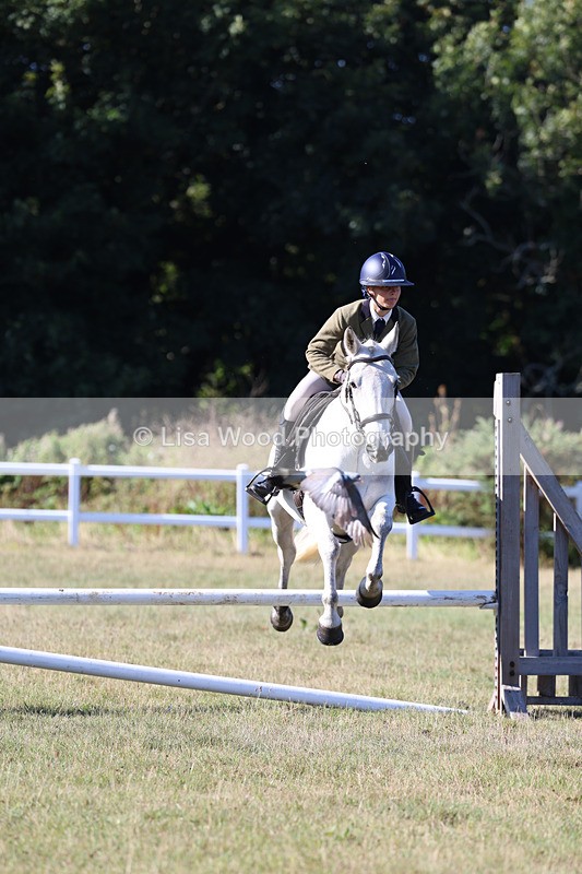 3E7A5410 - Class 3: Working Hunter 70cm