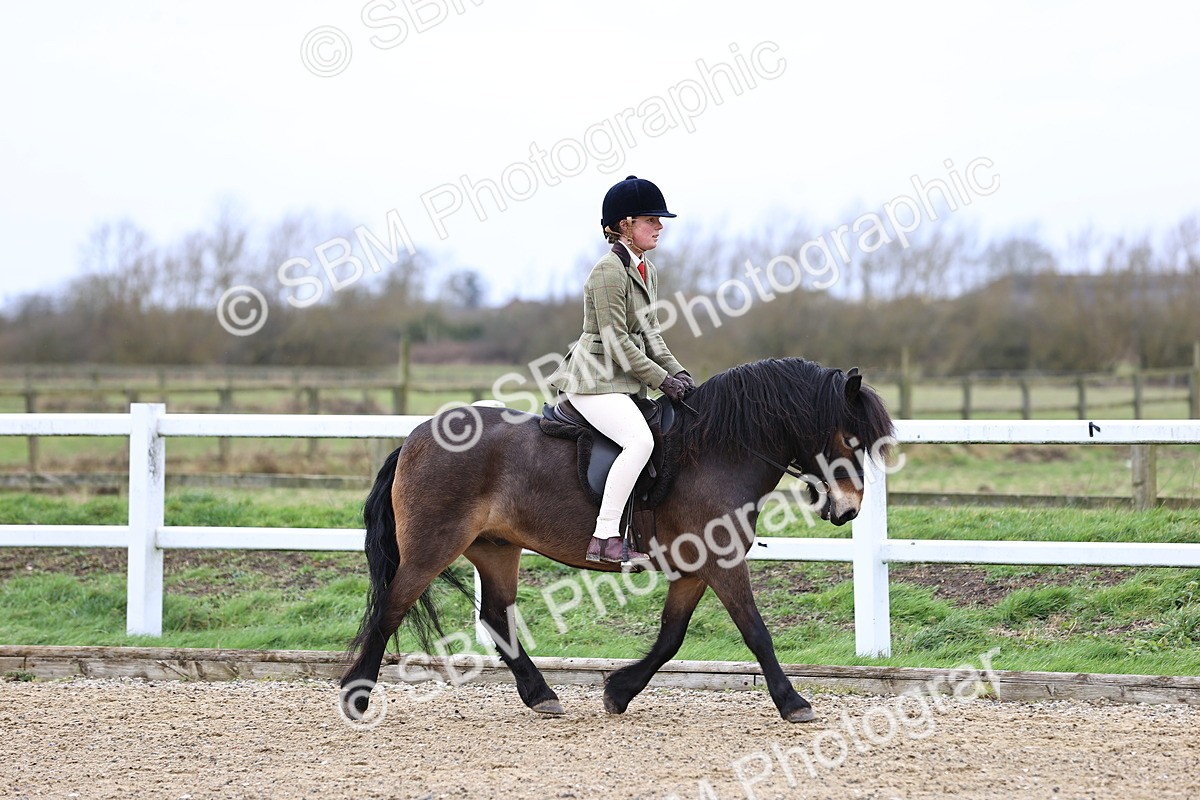 SBM_006738 - Class 29 - 30 - M&M Pure Novice Small-Large Breeds