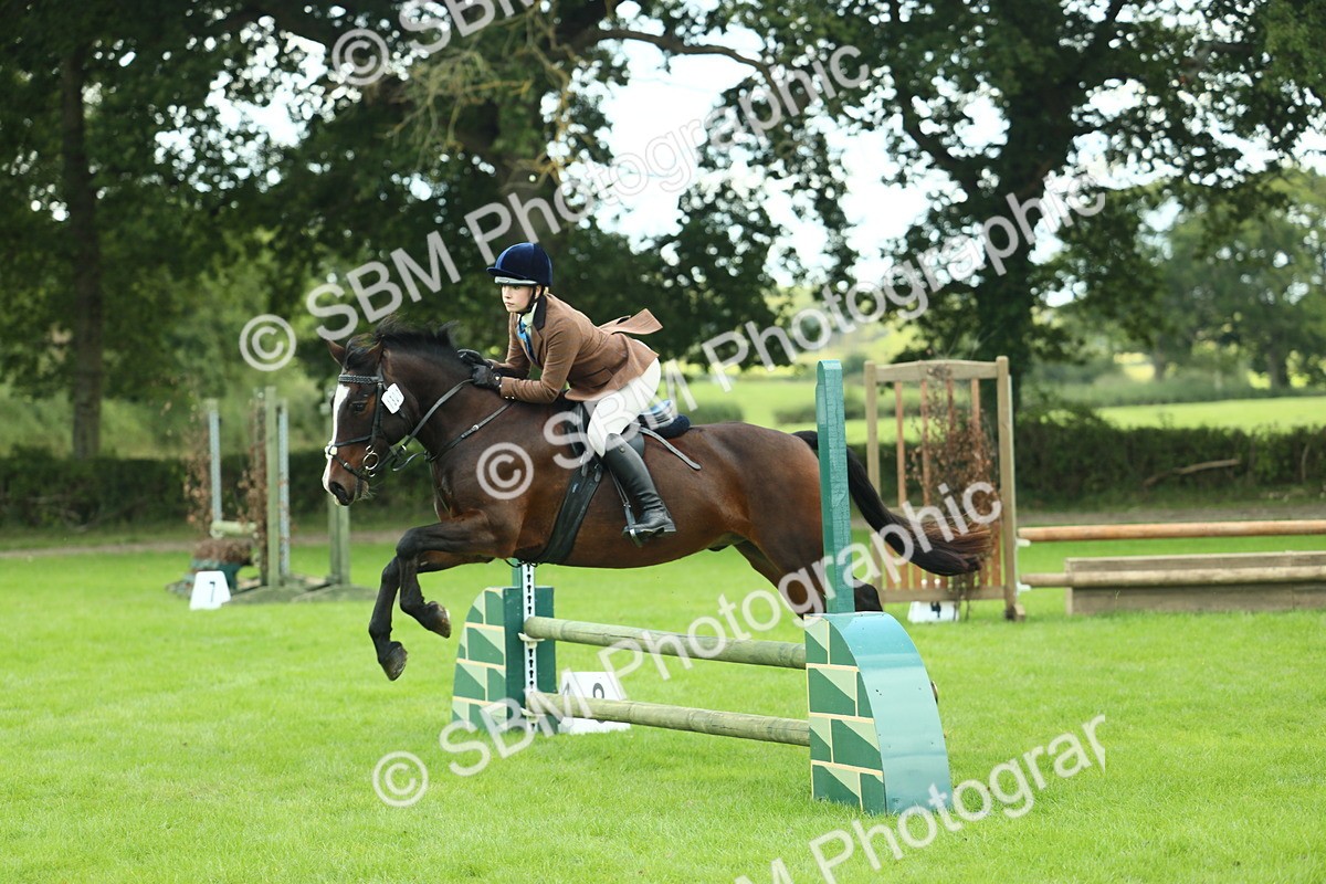 SBM_43013 - S30 - M&M Working hunter Pony
