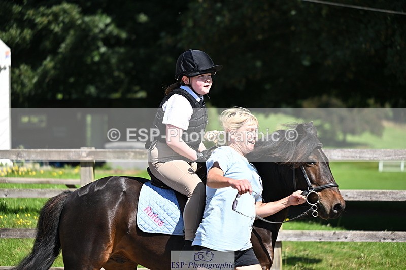 240729B-113323-02434 - Showjumping Competition