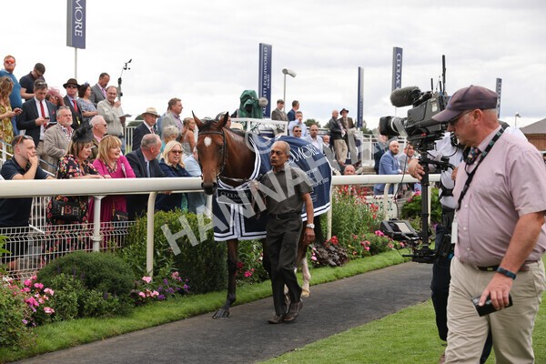 yr19082022r4-118 - Race 4 3.35pm Coolmore Wootton Bassett Nunthorpe Stakes (British Champion Series Race)