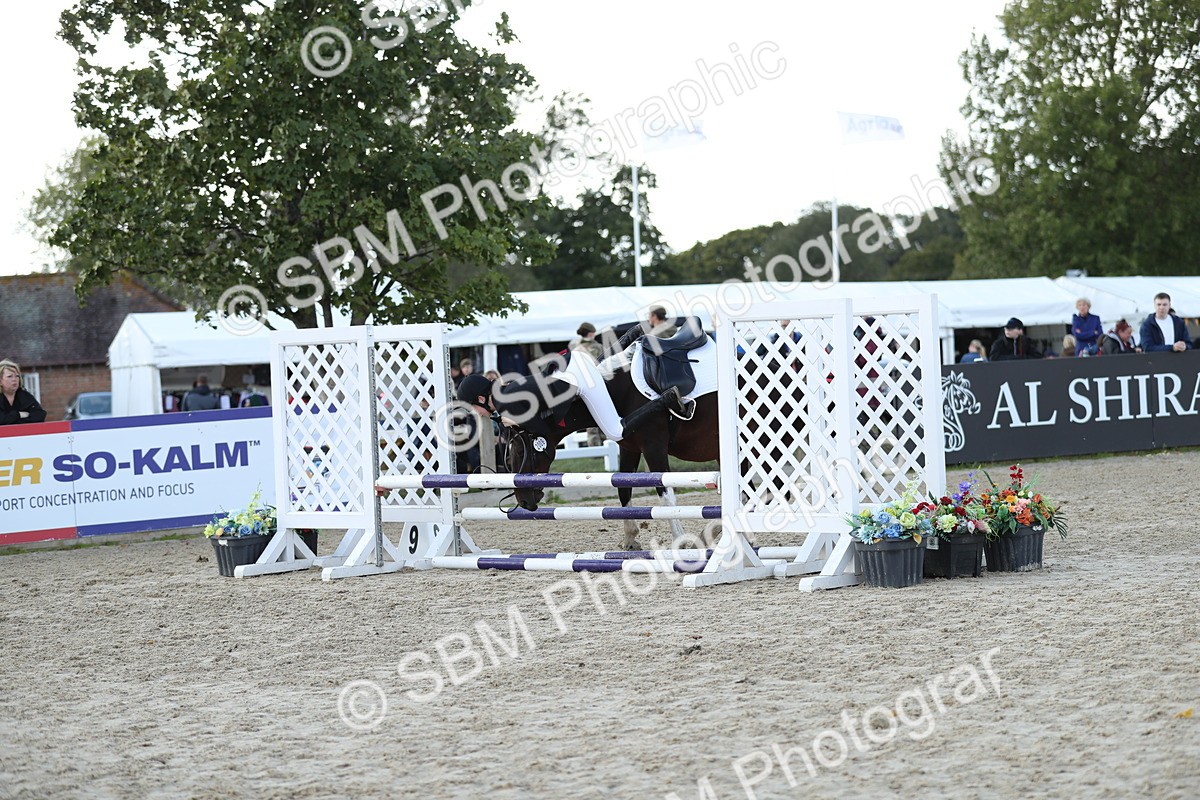 SBM_49504 - J22 - Junior Horse 65cm Championship