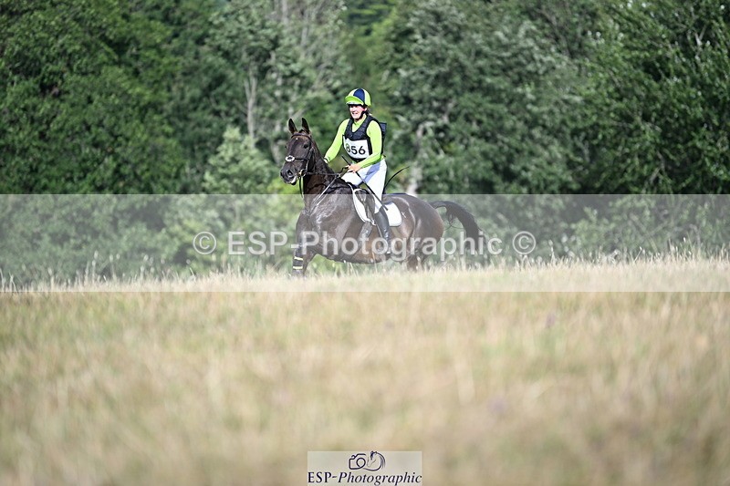 250803A-171700-18384 - S-856-Helena.Stock-ROYAL.UPDATE