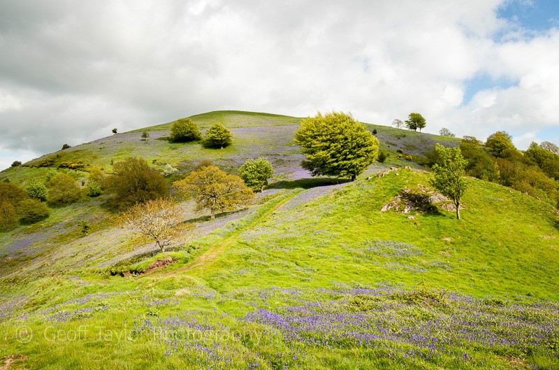 Paulith Bank hilltop - Stiperstones