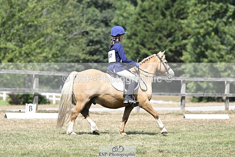 250821A-122547-15555 - DR 11.00 to 12.00