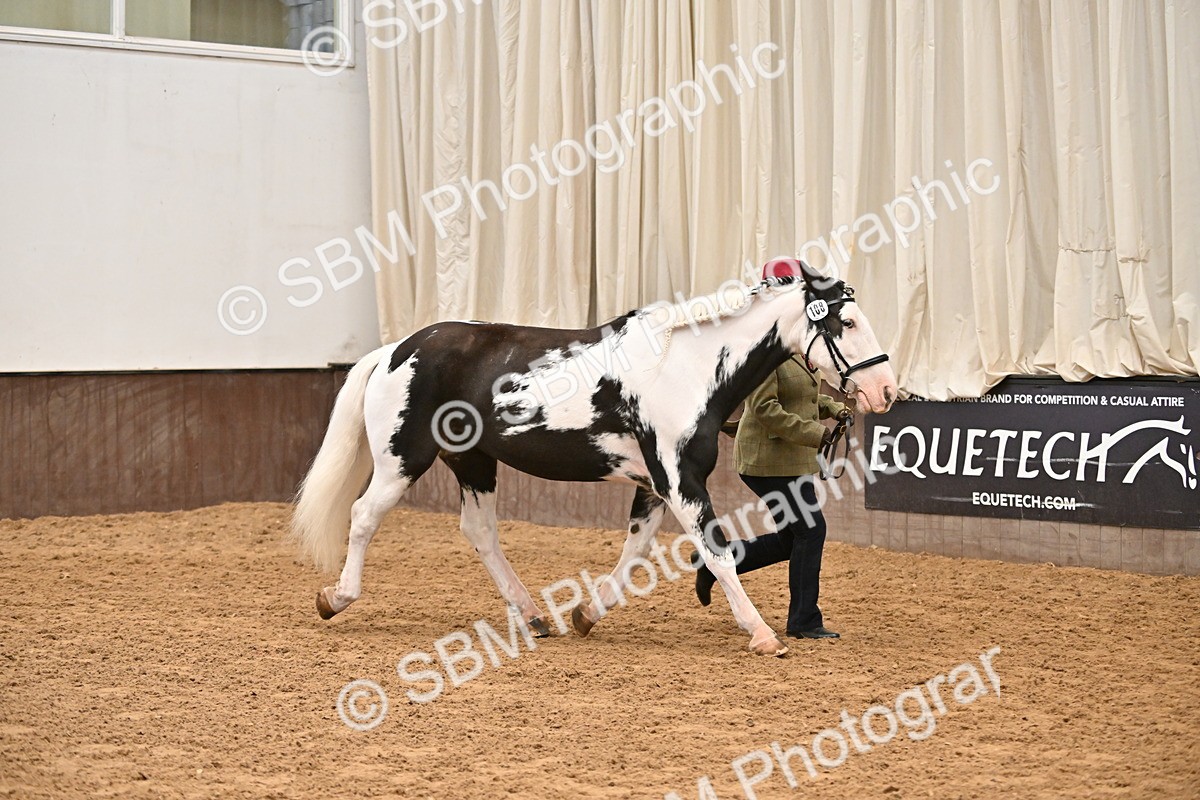 SBM_000278 - Class 10 - In Hand Coloured & Odd Coloured