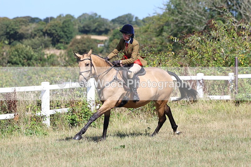 3E7A6416 - Working Hunter Championship