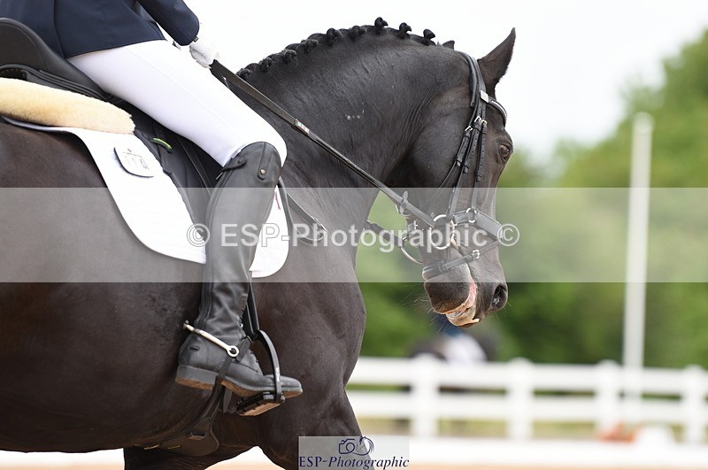 230630A-103840-00816 - Cls 4 Novice 23 Start to 11.30 break