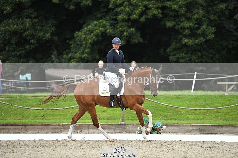 230812-122307-04105 - Cls 6 Novice Silver 12.10 to End