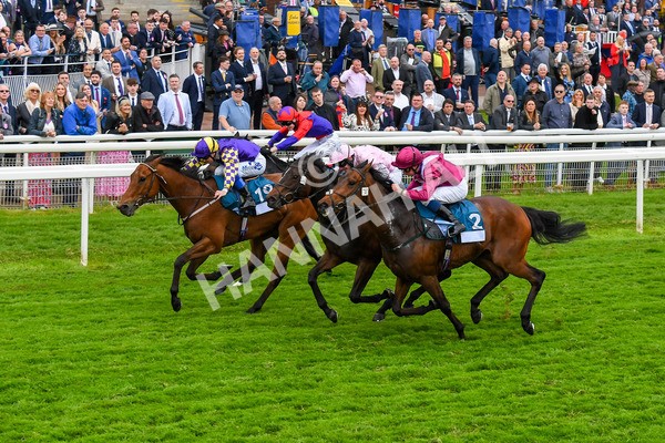 190523-Race 6-Eligible-0834 - Race 6 4.45pm Yorkshire Equine Practice Handicap