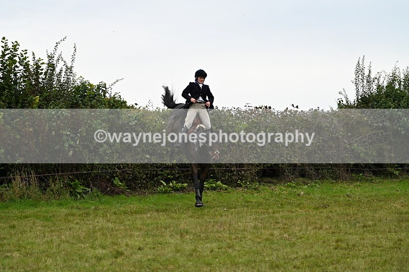 WJ7_4104 - Camera 1 Line 2