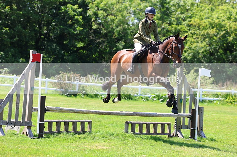 3E7A7085 - Class 30: Novice Working Hunter