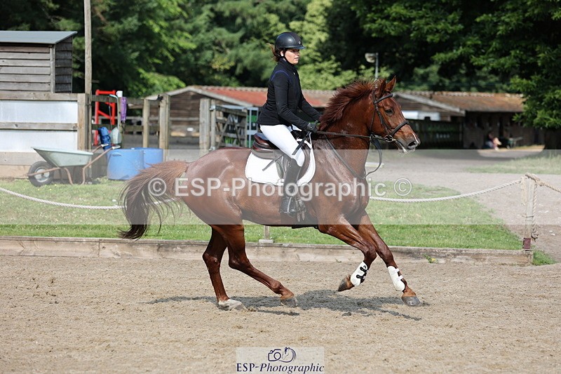 250614A-090100-04782 - Cls 25 85cm Amateur Quali