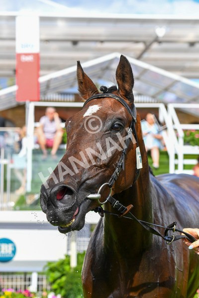 290723-Race 5-Baez-0887 - Race 5 4.35pm Sky Bet Prize Drop Handicap