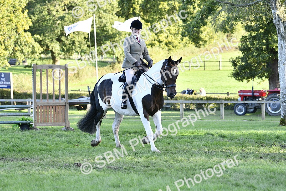 SBM_53554 - S14 - Riding Club Horse